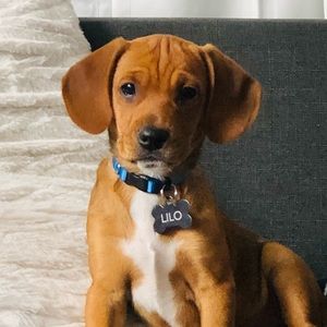 Meet your Posher, Hannah